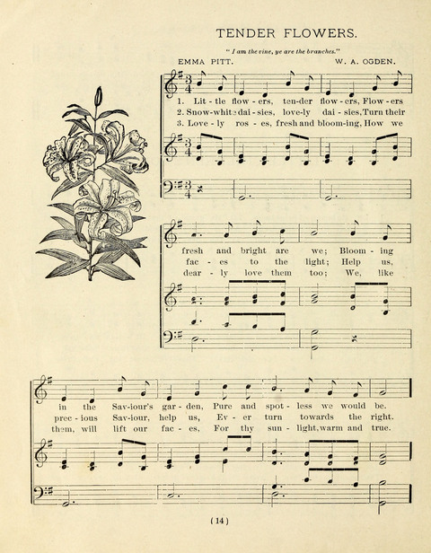 Buds and Blossoms for the Little Ones: a song book for infant classes or Sunday schools page 14