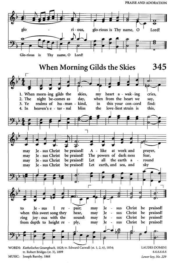 Celebrating Grace Hymnal page 325