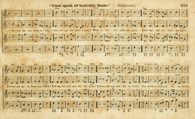 Evangelical Musick: or, The Sacred Minstrel and Sacred Harp United: consisting of a great variety of psalm and hymn tunes, set pieces, anthems, etc. (10th ed) page 285