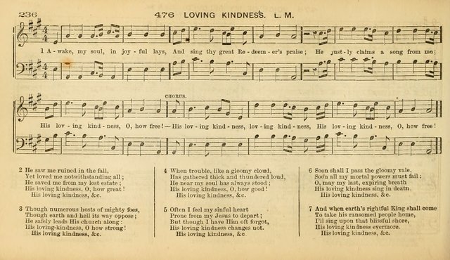 Hymns of the "Jubilee Harp" page 241