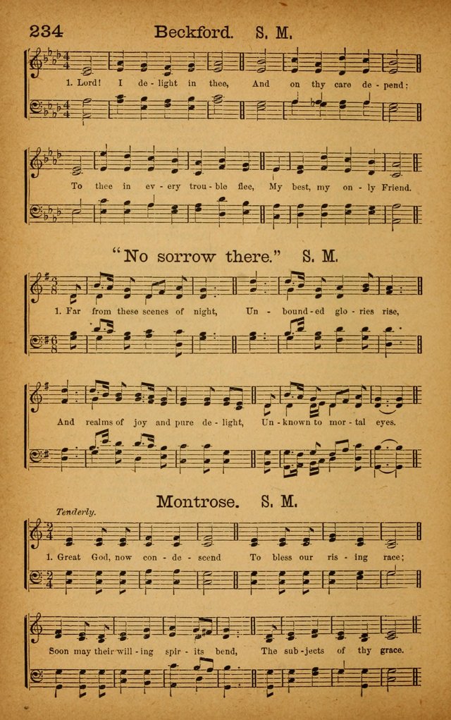 New Hymn and Tune Book: an Offering of Praise for the Use of the African M. E. Zion Church of America page 239